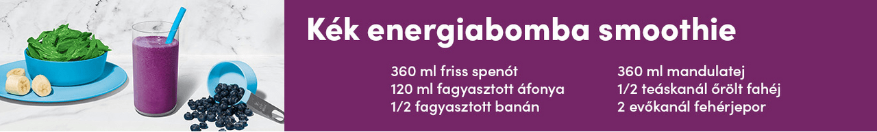 nutribullet receptek