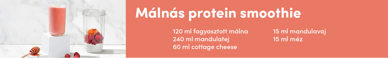 nutribullet receptek