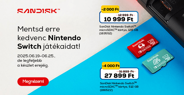 SanDisk Nintendo