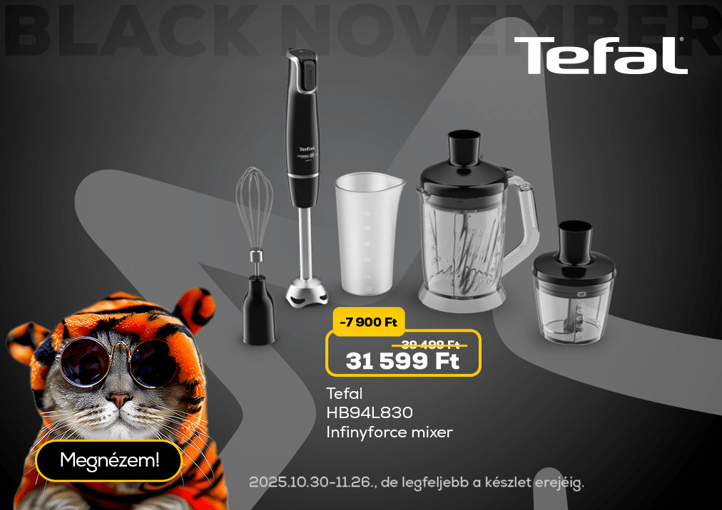 Tefal HB94L830 Infinyforce mixer