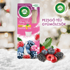 Air Wick Pálcikás légrissítő folyadék - Pezsgő téli gyümölcsök Air Wick Pálcikás légrissítő folyadék - Pezsgő téli gyümölcsök