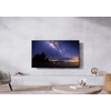 Panasonic TX-55JZ1000E 55 Panasonic TX-55JZ1000E 55