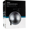 Avento ABS Fitball Silver gimnasztika labda pumpával, 65 cm, ezüst (40200)