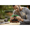 LEGO Creator Expert Bonsai fa LEGO Creator Expert Bonsai fa