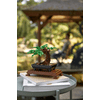 LEGO Creator Expert Bonsai fa LEGO Creator Expert Bonsai fa