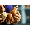 LEGO® Pokémon™ Eevee (72151)
