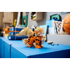 LEGO® Pokémon™ Arcanine (72160)