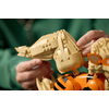 LEGO® Pokémon™ Arcanine (72160)