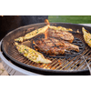 Weber Performer 57 cm faszenes grill, fekete (1501630)