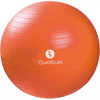 Sveltus 0496 Fitneszlabda, narancssárga, 55 cm Sveltus 0496 Fitneszlabda, narancssárga, 55 cm