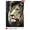 Puzzle 1500 db - Oroszlán