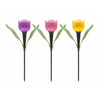 LED szolár tulipánlámpa 30cm