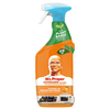 Mr.Proper tisztító spray Mandarin 750ml