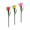 Leszúrható szolár tulipán 3 szín