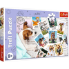 Puzzle 300 db - Nyaraló kutyák