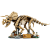 LEGO® Jurassic World Dinoszaurusz maradványok: Triceratops (77985)