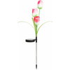 Leszúrható szolár virág tulipán 2 db