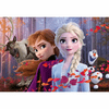 Frozen 2in1 maxi puzzle 150db