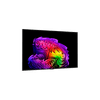 LG OLED55G61LW 55