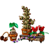 LEGO® Harry Potter™ Roxfort™-i gyógynövénytanóra növényei (76474) LEGO® Harry Potter™ Roxfort™-i gyógynövénytanóra növényei (76474)