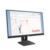 Lenovo ThinkVision E24-40 23,8