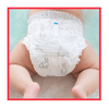 Pampers Harmonie Value Pack nadrágpelenka, S4, 24 db Pampers Harmonie Value Pack nadrágpelenka, S4, 24 db