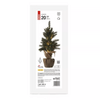 Emos DCTW01 LED karácsonyfa, havas, 52 cm, 3x AA, beltéri, meleg fehér, időzítő