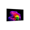 LG OLED97G61LW 97
