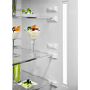 Kombinált hűtőszekrény . NF. 185 cm