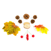 Family 59021 Őszi dekoráció, falevél, toboz, tök szett, 4 féle Family 59021 Őszi dekoráció, falevél, toboz, tök szett, 4 féle