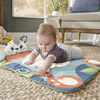 Fisher-Price: Podloga za igru Panda Mattress Roll-Up (HKD65) Fisher-Price: Podloga za igru Panda Mattress Roll-Up (HKD65)
