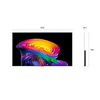 LG OLED55C61LA 55
