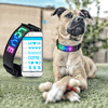 Doggy Village Programozható Smart LED nyakörv (MT7112) Doggy Village Programozható Smart LED nyakörv (MT7112)