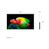 LG OLED48B62LA 48