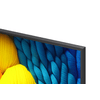 LG 43NANO81A6A 43