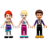 LEGO® Friends Varázslatos óriáskerék és csúszda (41689)