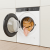 Gorenje WG684A31 Elöltöltős mosógép Gorenje WG684A31 Elöltöltős mosógép