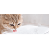 Xiaomi BHR6161EU Smart Pet Fountain Intelligens kisállat szökőkút Xiaomi BHR6161EU Smart Pet Fountain Intelligens kisállat szökőkút