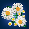 LEGO® Botanicals Százszorszépek (11508) LEGO® Botanicals Százszorszépek (11508)
