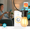 SmartLife Dekoratív LED füzér 10 db