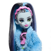 Monster High: Creepover party baba - Frankie Stein (HKY68) Monster High: Creepover party baba - Frankie Stein (HKY68)