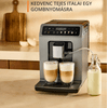 Krups EA898GF0 Evidence Hot&Cold automata kávéfőző