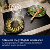 Electrolux LFG719R Rejtett páraelszívó