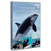 BBC Vadvilág – Gyilkos bálna DVD