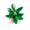 LEGO® Botanicals Vitorlavirág (11504) LEGO® Botanicals Vitorlavirág (11504)