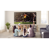 4K QLED TV, Gamer Master