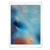 Apple iPad 9.7