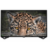 Orion 40SA19FHD Smart FULL HD LED Tv