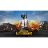 PlayerUnknown's Battlegrounds - PS4