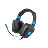 Fury Raptor Gaming Headset Fury Raptor Gaming Headset